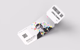 Biglietto ingresso mostra Mauro Bubbico