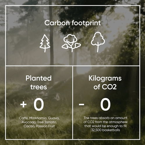 Animazione che mostra i dati raccolti di un brand impegnato nella salvaguardia ambientale