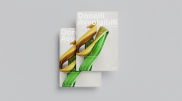 Copertina del catalogo visto frontalmente