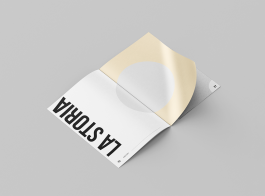 Pagine che fanno da divisori delle varie sezioni