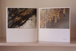 Pagine interne del volume fotografico realizzato per i Fotoamatori di Pergine (Trento) 